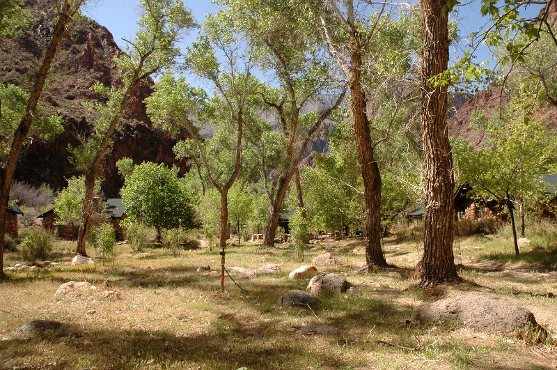 Grand Canyon April 2011_0371.jpg